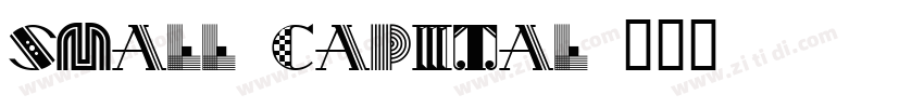 SMALL CAPITAL字体转换